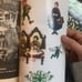 Magic Tree House book lot