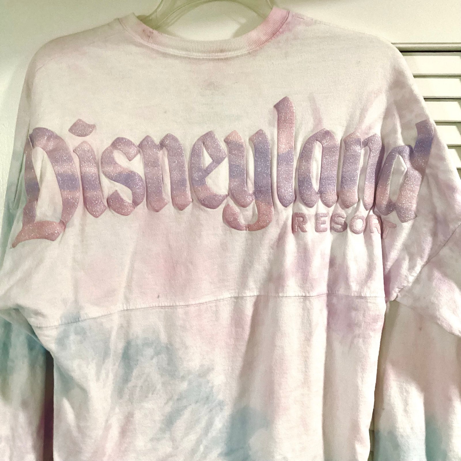 Disneyland Spirit Jersey
