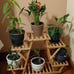 Bamboo Rolling 6 Tier Plant Stand Rack Multiple Flower Pot Holder Shelf