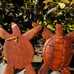 Hand carved mahogany wooden sea turtle carving wall plaques from Bali-8x8 inches