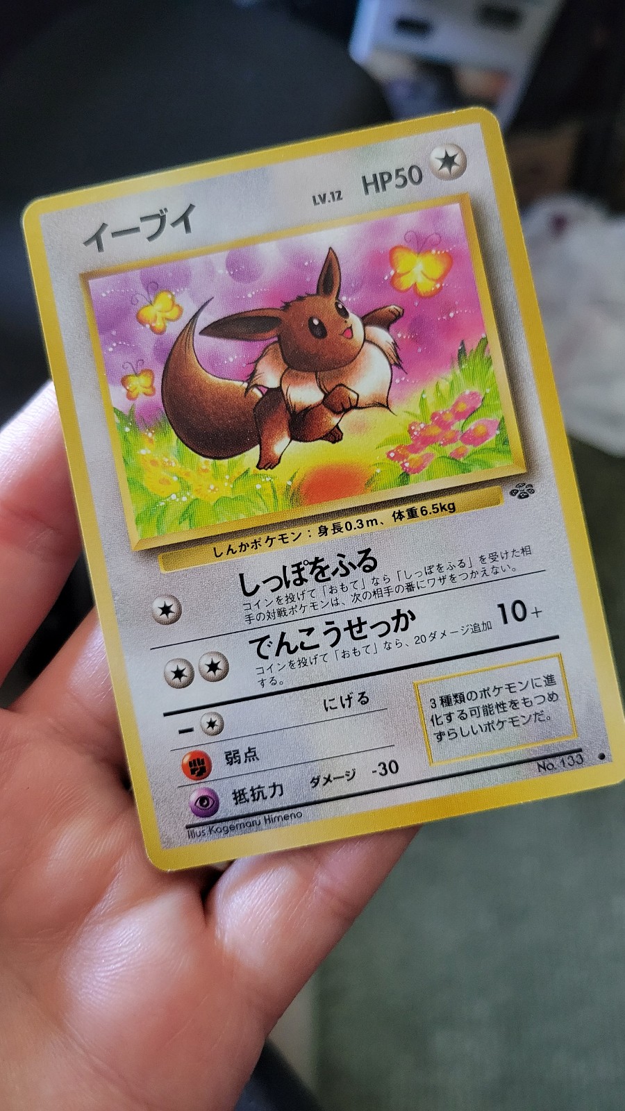 Japanese Jungle Eevee Pokemon Card