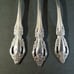 Oneida Raphael Distinction Deluxe Stainless Flatware Spoons Set of 3