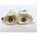Vintage Dogs Airedale Terriers Puppies Salt and Pepper Shakers