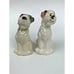 Vintage Dogs Airedale Terriers Puppies Salt and Pepper Shakers