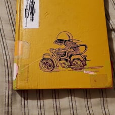 1970 runaway Ralph book