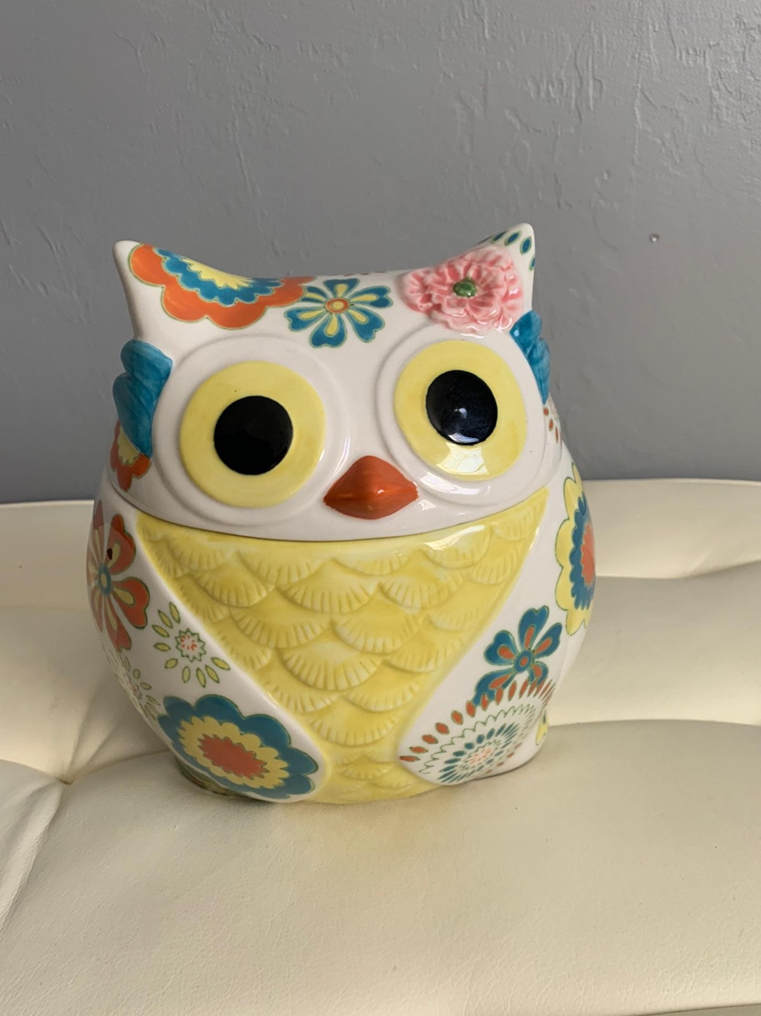 Pier One hand painted Owl Cookie Jar