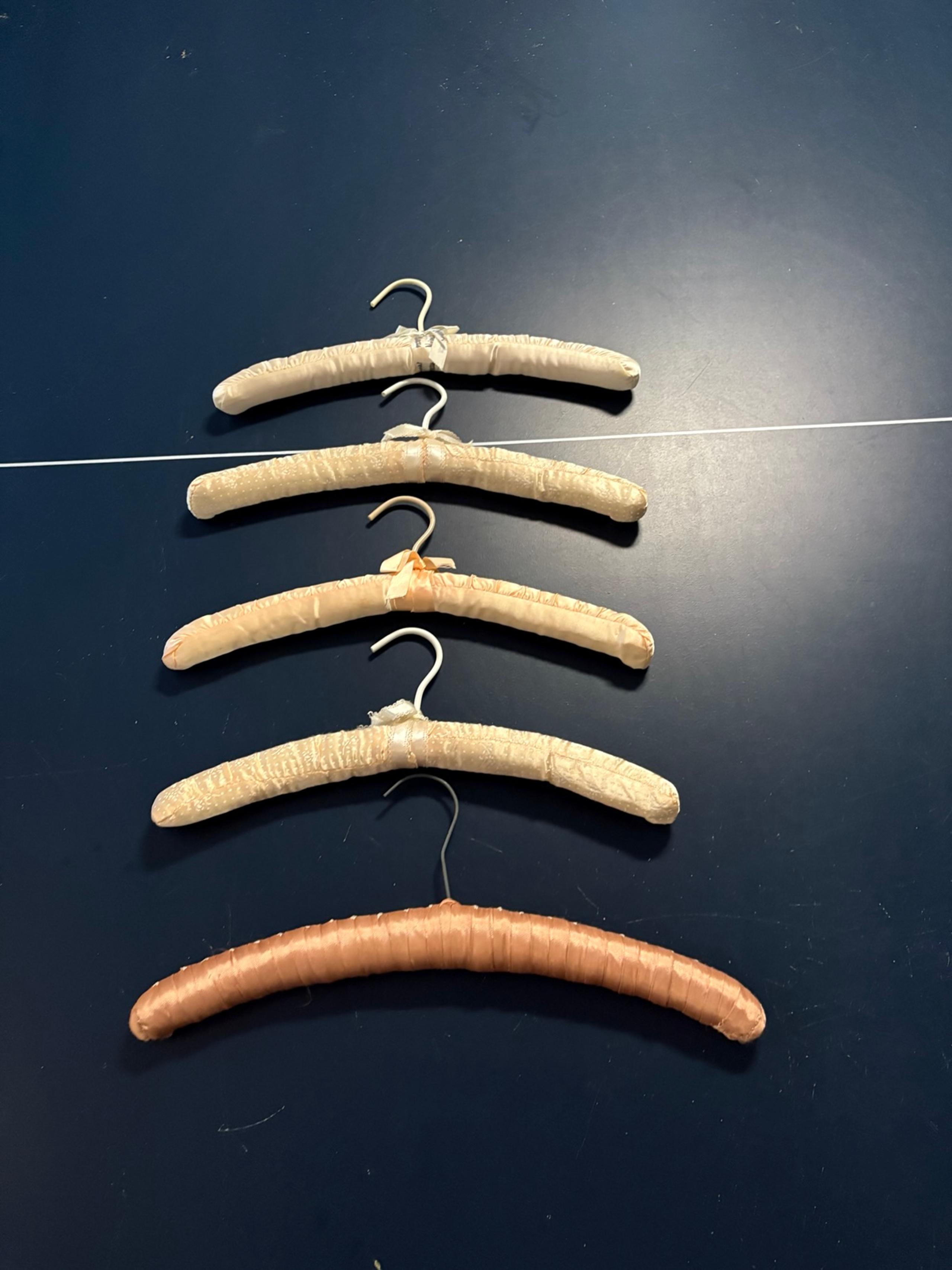 Vintage Padded Velvet Hangers Set of 5