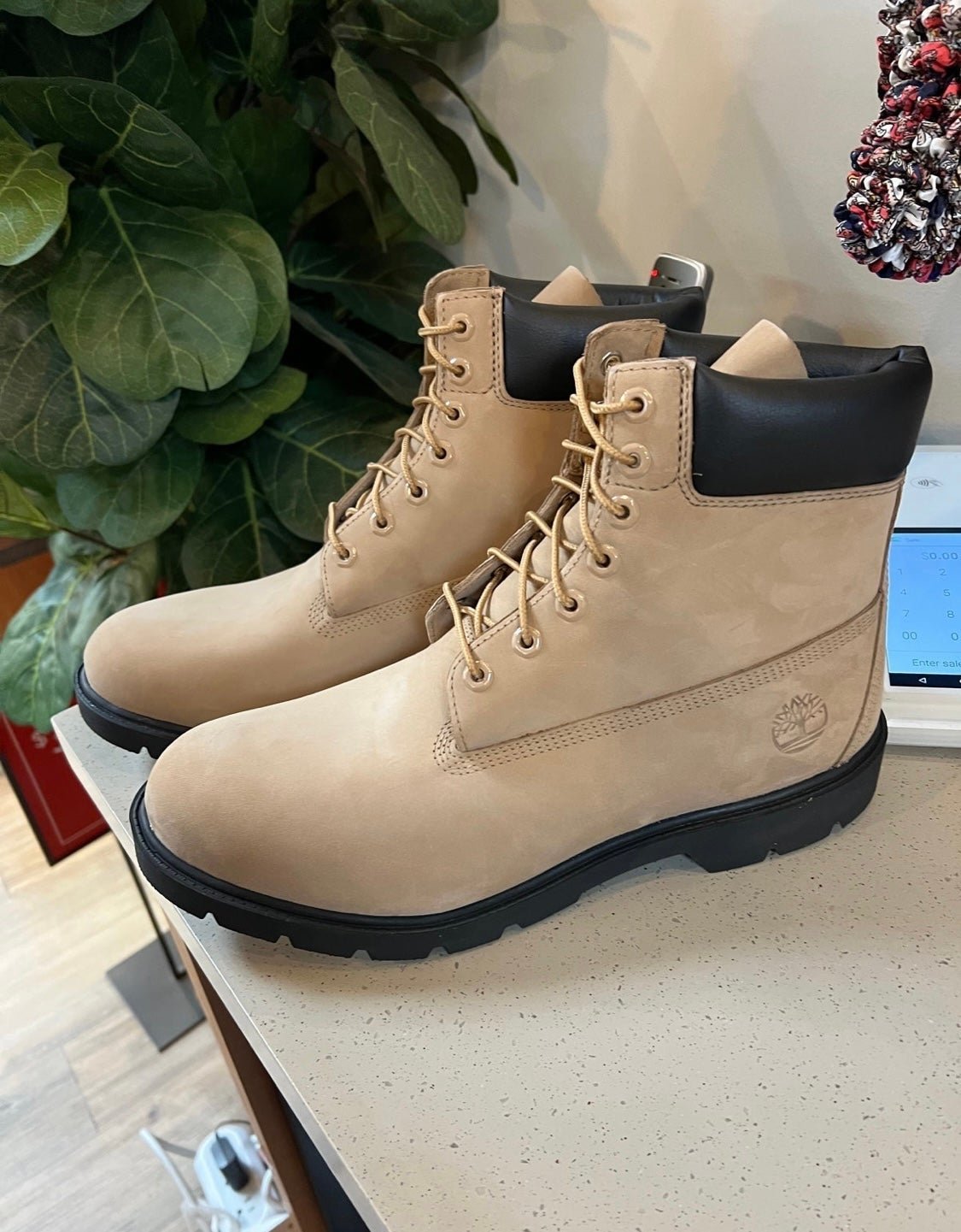 Timberland men 6 inch boots