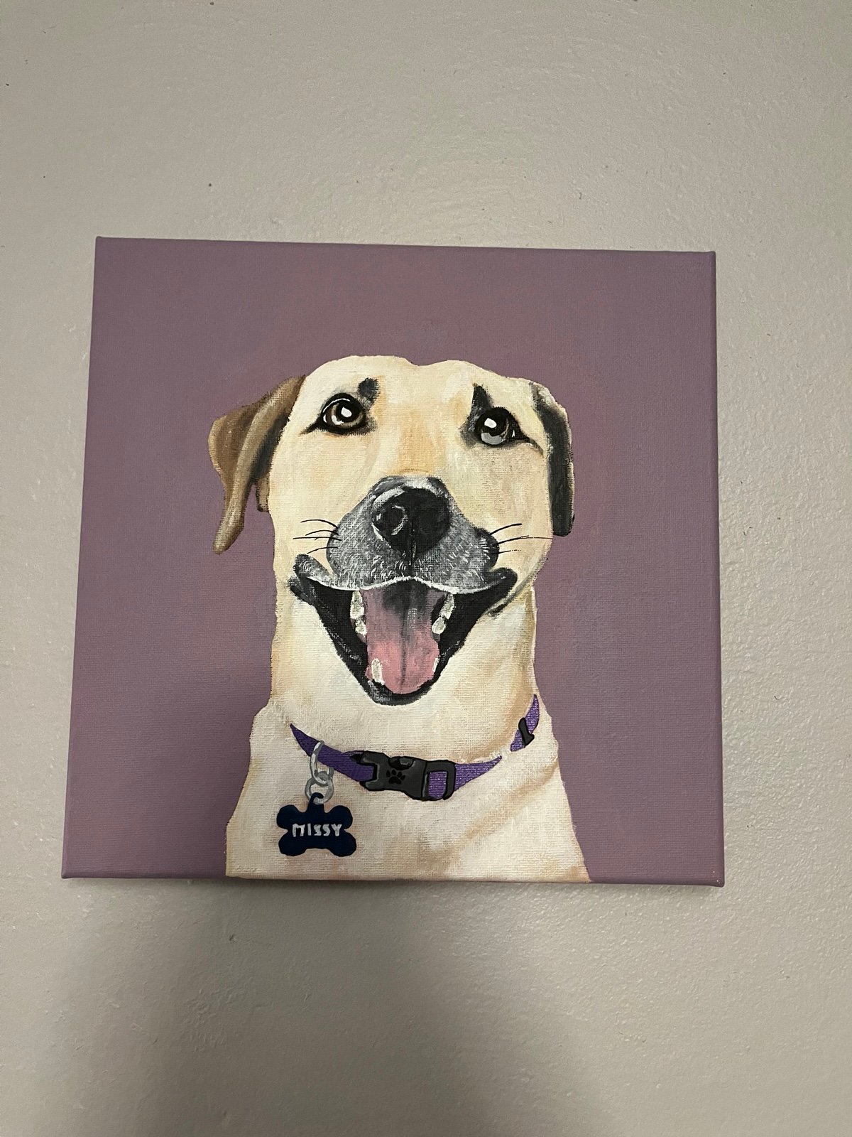 Custom pet portrait