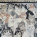 COTTAGE CAT THROW BLANKET Fringe Trim Vintage Tapestry Throw Blanket Grandmacore