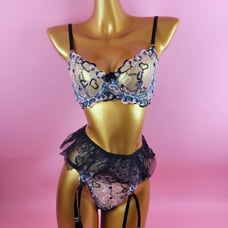 Heart Embroidered Mesh Underwirer Set