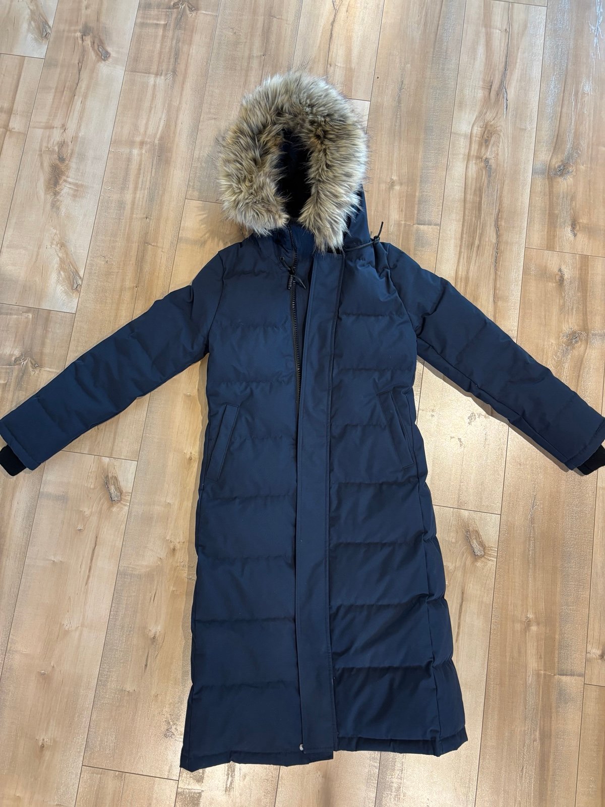 Aritzia coat