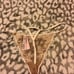 victoria secret lingerie set teddy bear