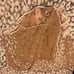 victoria secret lingerie set teddy bear