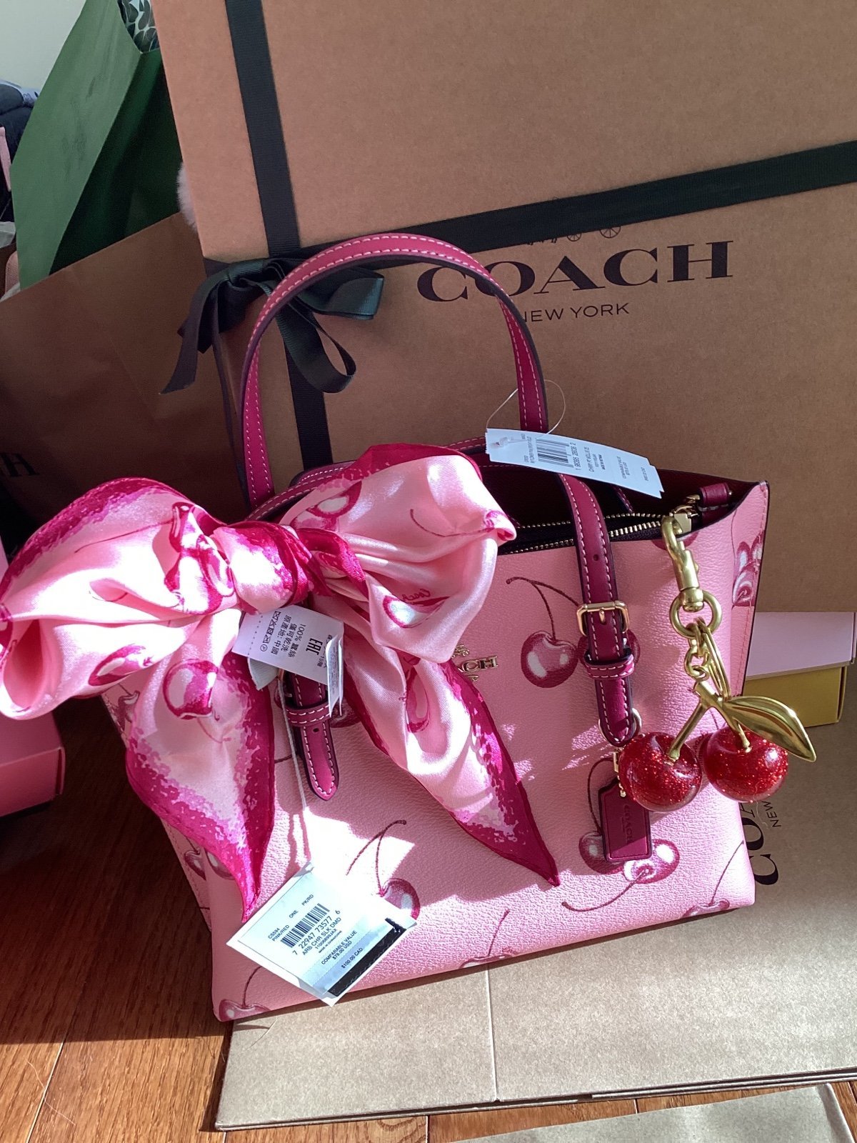 ❤️❤️Coach cherry SET Mollie BAG and slik scarf & cherry items listed separately