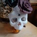 NWT Halloween Skull Theme Set (7 pc)
