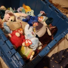 beanie babies