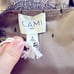 Cami NYC brown with lace trim silk luxury camisole Gisele cami small NEW