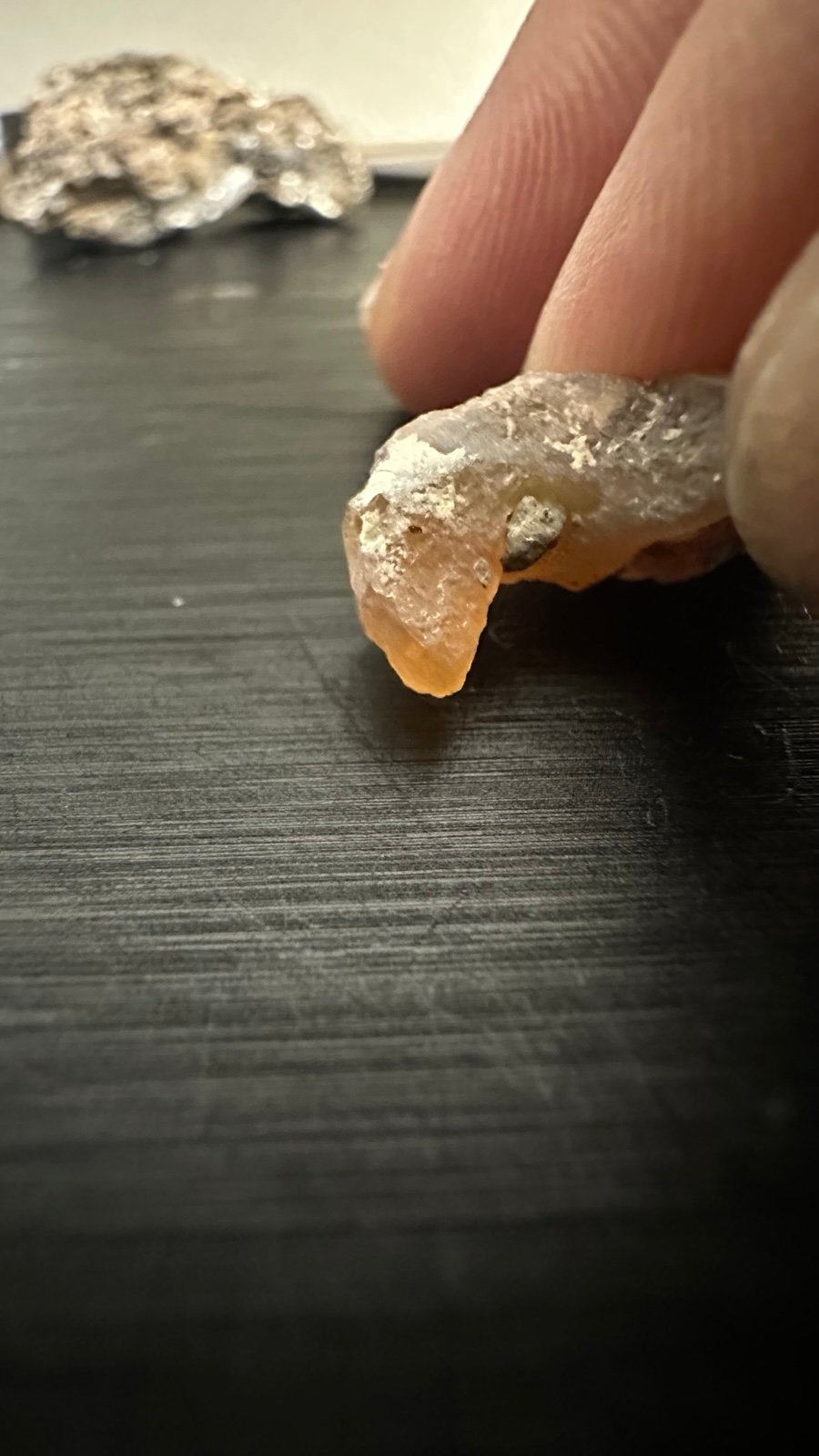 Opalized animal tallon