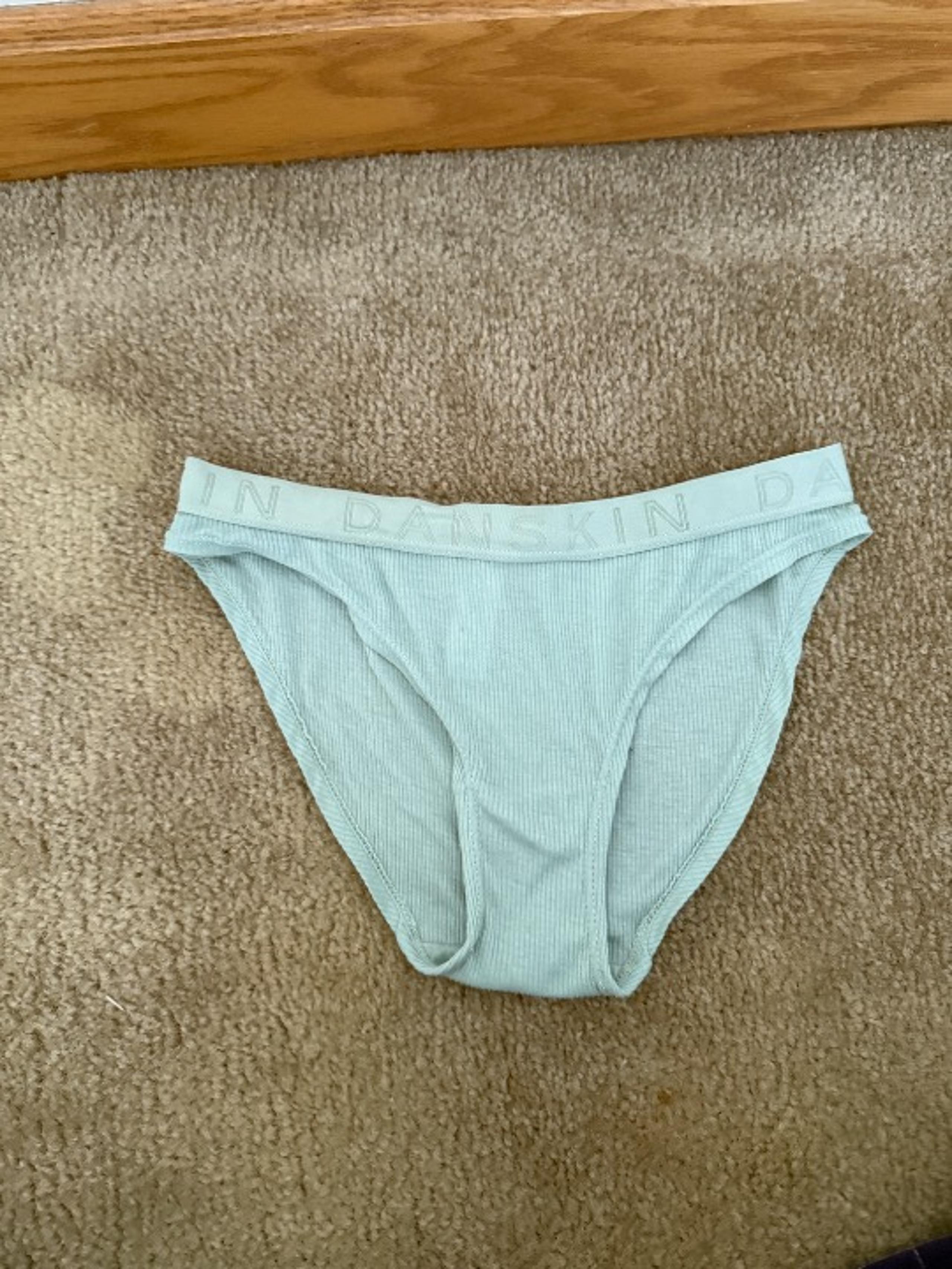 Like New Danskin Intimate Light Blue Bikini Underwear