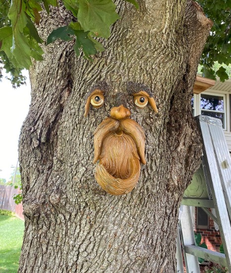 Tree Face, Tree Faces Outdoor, Tree Art, Tree Decorations Outdoor, Tree Faces