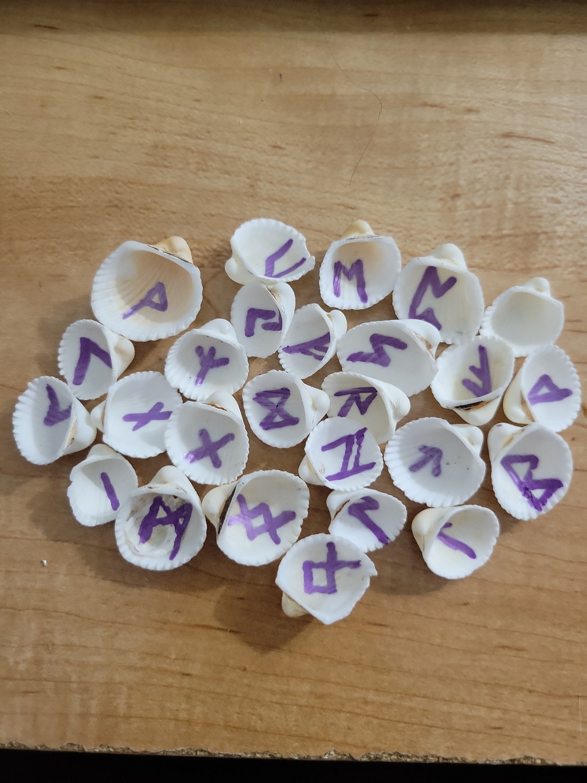 Sea Shell Norse Runes