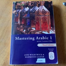 Mastering Arabic 1
