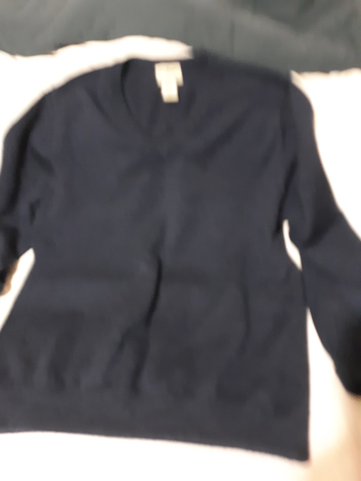 Mens LL Bean Navy 100% Merino Wool vneck Sweater sz Lg
