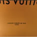 LOUIS VUITTON Authentic Paper Gift Shopping Bag 9.75 x 14.25'' x 4.5