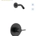 Matte Black Delta Shower Kit