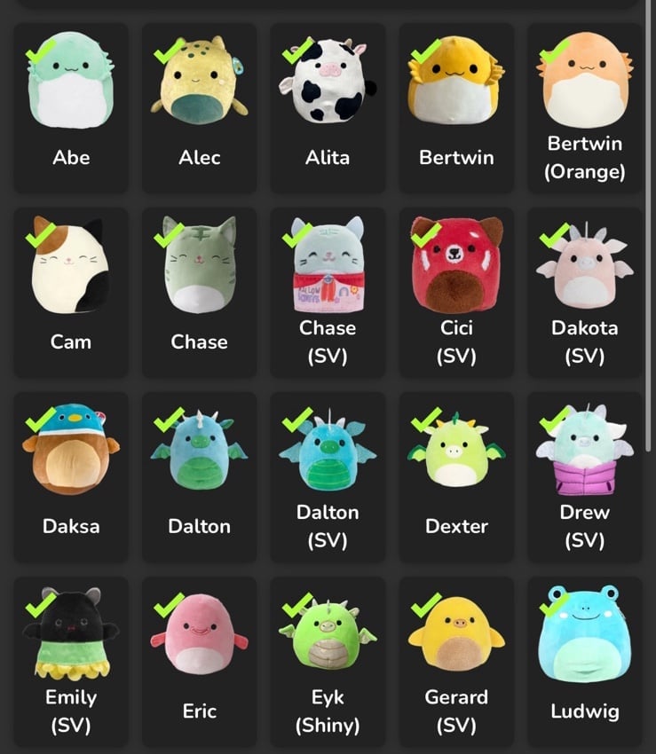 Squishmallow collection of 20+