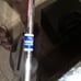 womens golf clubs