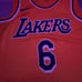 LeBron James Jersey
