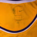 LeBron James Jersey