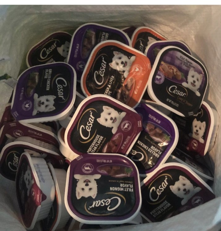 Cesar's variety packs of dog food pack of 32
