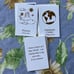 11:11 Alignment Cards Angelic Realm