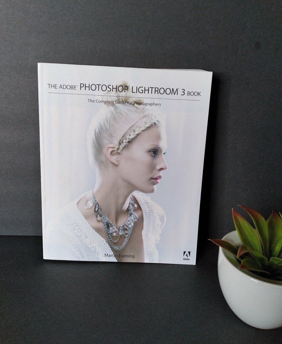 THE ADOBE PHOTOSHOP LIGHTROOM 3 BOOK