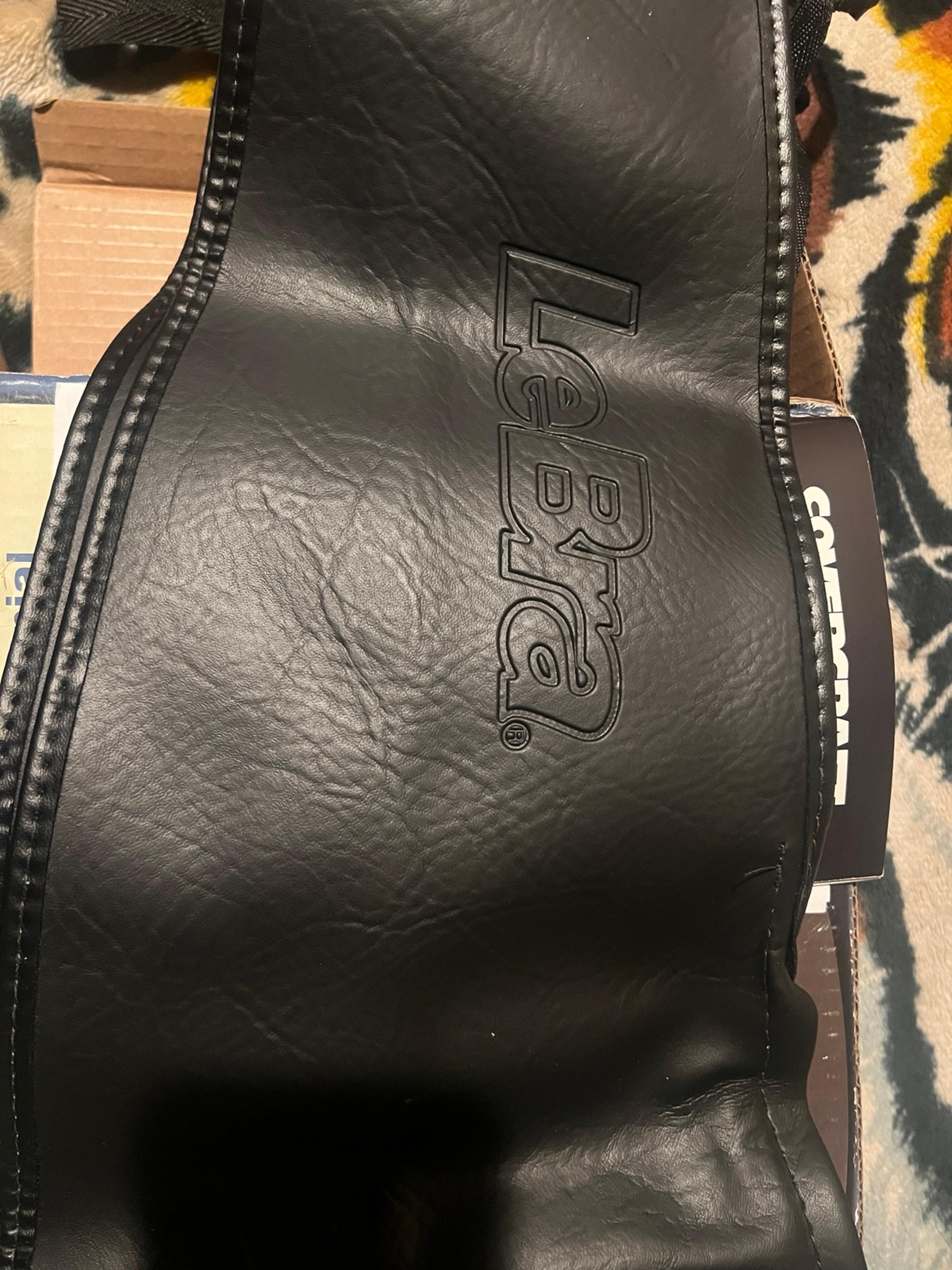 Universal LeBra Car Mask