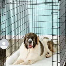 Metal large black dog kennel