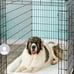 Metal large black dog kennel