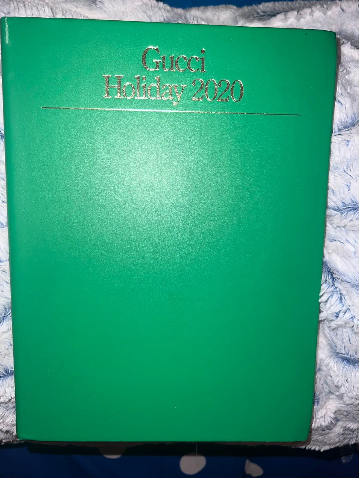 Gucci Exclusive Holiday 2020 Lookbook