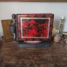 Antique Japanese Black and Red Lacquered Wood Photo Album