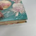 Barrons If You Love a Fairy Tale Cinderella Frog Prince Saviour Pirotta NEW
