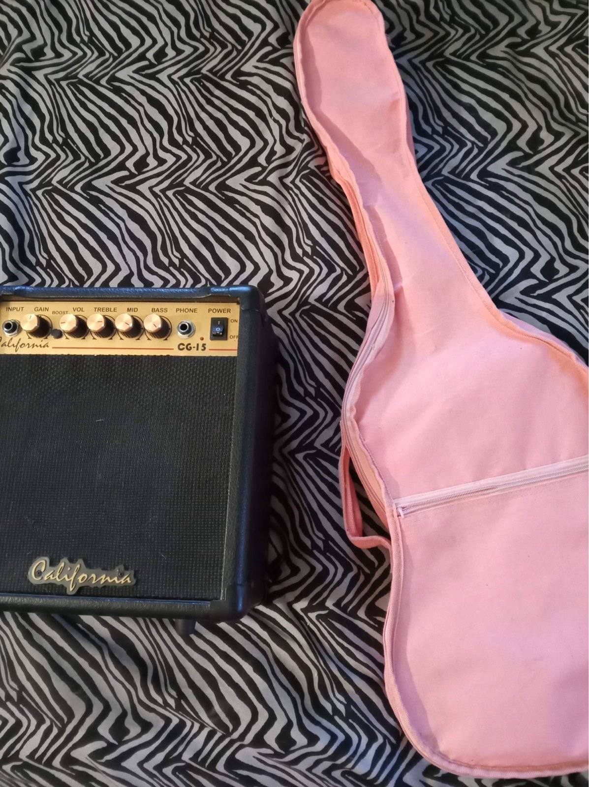 electric guitar set