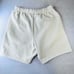 Essentials Fear of God Fleece Shorts Size XS Seafoam Green 6 inseam