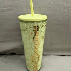 Walt Disney World Tinkerbell Starbucks Tumbler Cup NEW