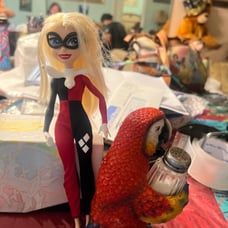 DC Super Hero Girls Harley Quinn Action Doll (~11.5 inch) with Removable Accesso