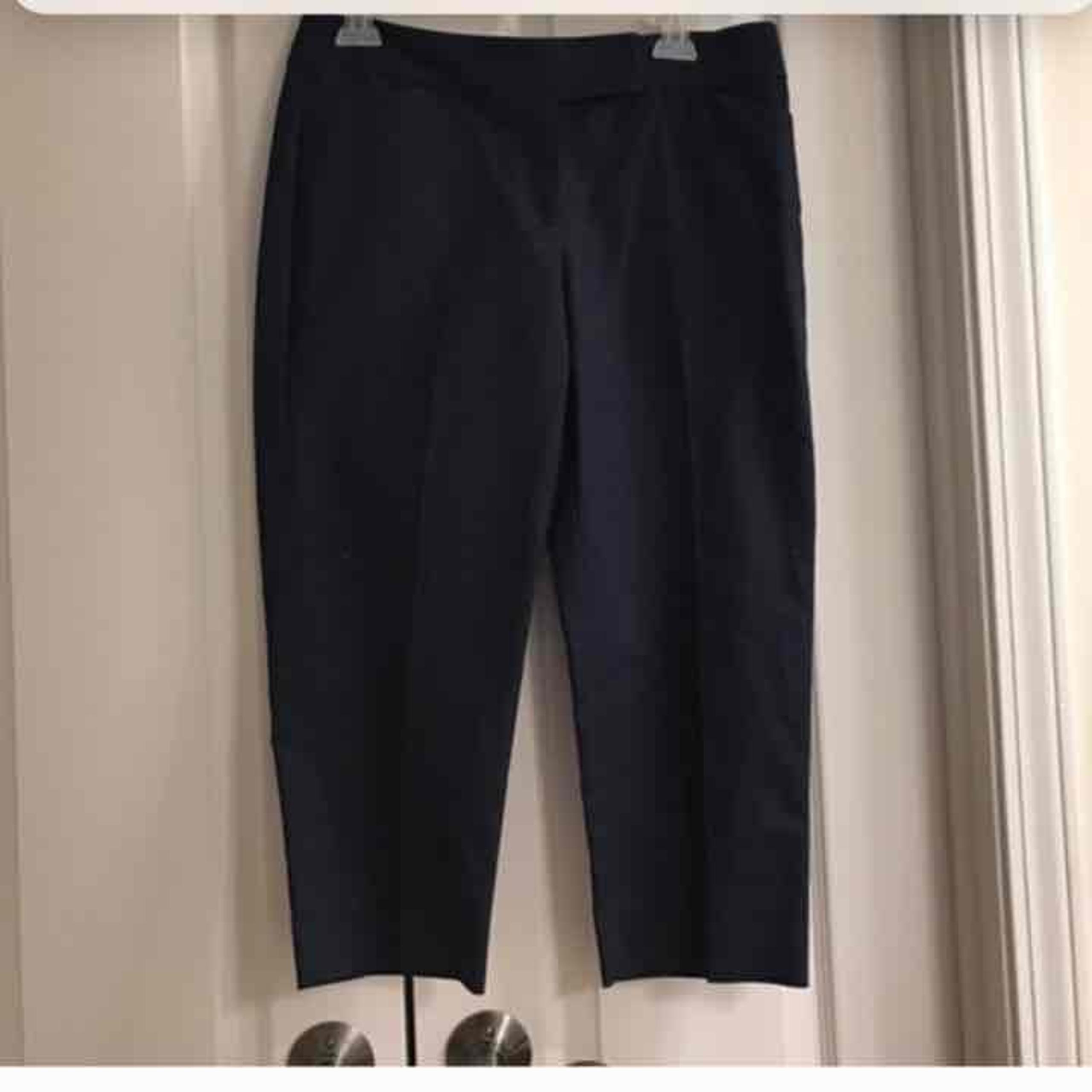 Size 6 P Ann Taylor navy cropped pants