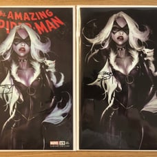 Amazing Spider-Man 19 Ivan Tao variant set signed by interior artist Terry Dodso