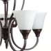 Somerset 5-Light Bronze Chandelier with Bell Shaped Frosted Glass Shades